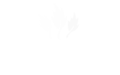 Logo El Salvaje